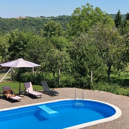 Holiday home Fruska Pool House *