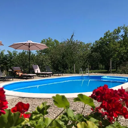 Holiday home Fruska Pool House Sremska Kamenica
