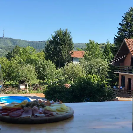 Holiday home Fruska Pool House *