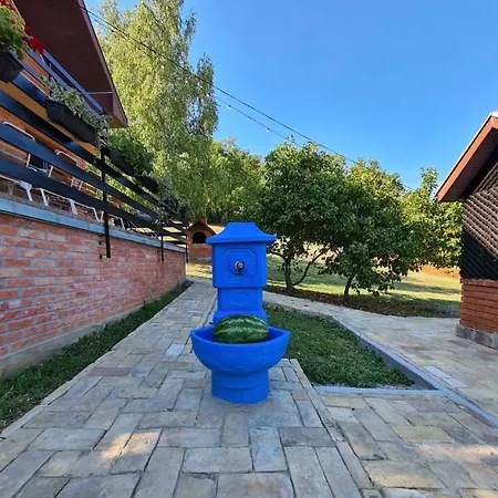Fruska Pool House *