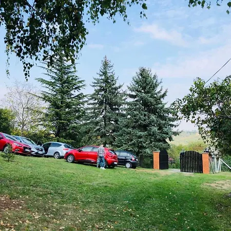 Holiday home Fruska Pool House Sremska Kamenica