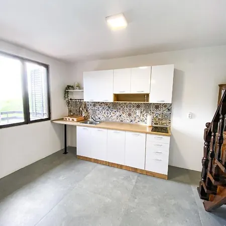 Fruska Pool House Holiday home *