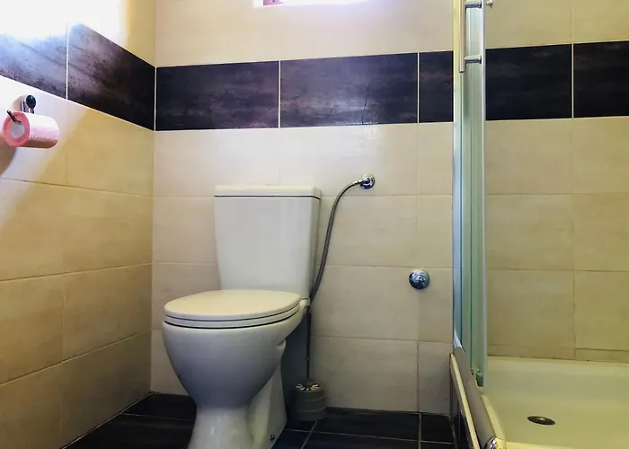 Fruska Pool House 別荘 Sremska Kamenica