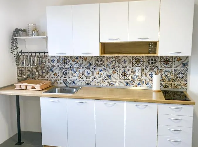 Fruska Pool House 別荘