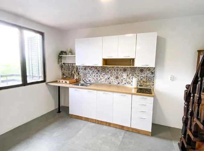 Fruska Pool House 別荘 *